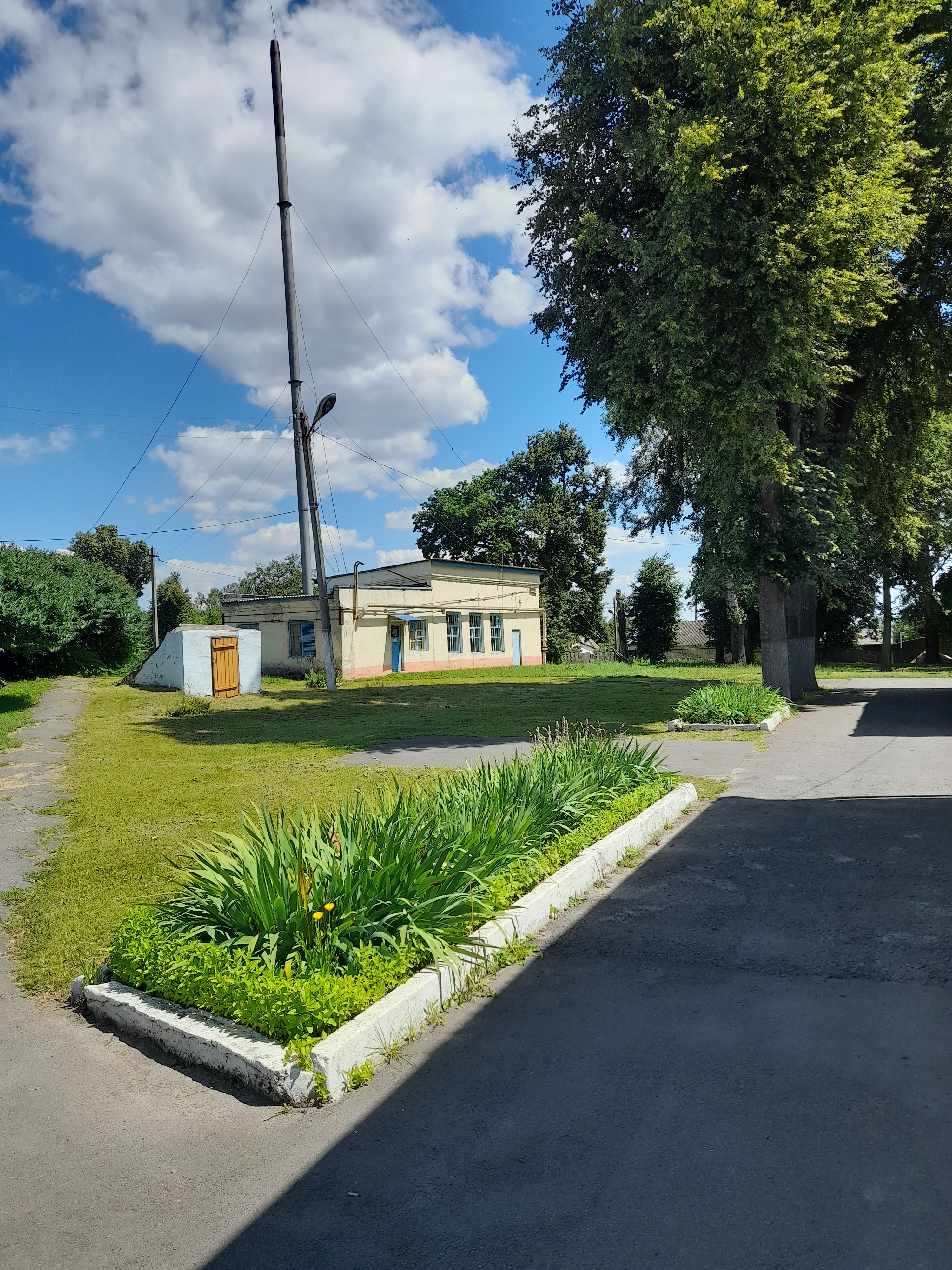 Школа.